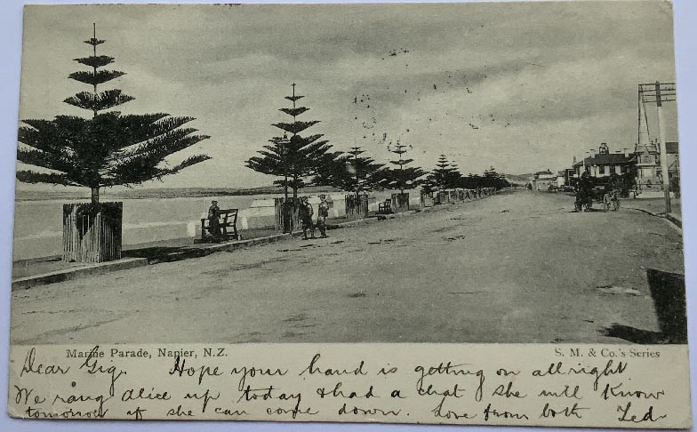 early 1900's New Zealand Marine Parade Napier postcard